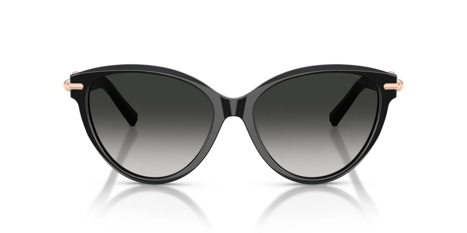 Tiffany 4261F Sunglasses - view 9